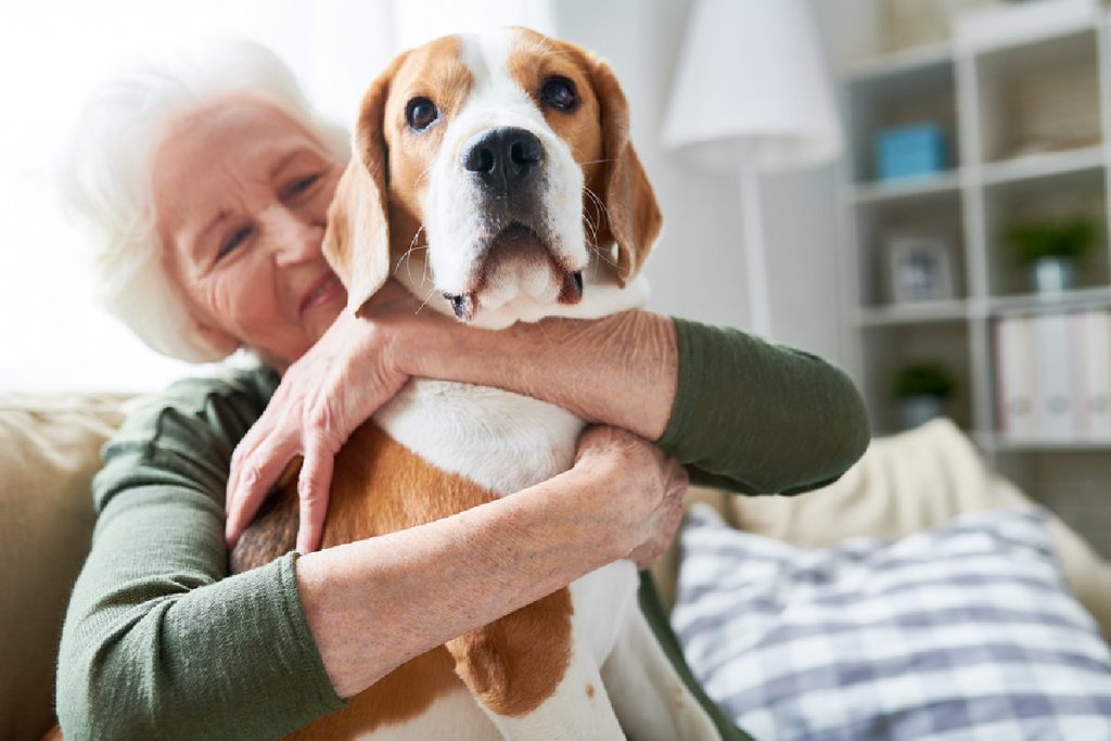 Yaşlılıkta Evcil Hayvan Sahiplenmek ve Pet Therapy